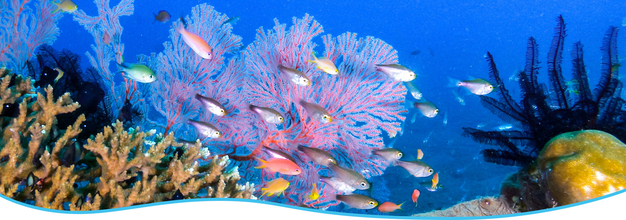 slider02 医療法人平田耳鼻咽喉科医院